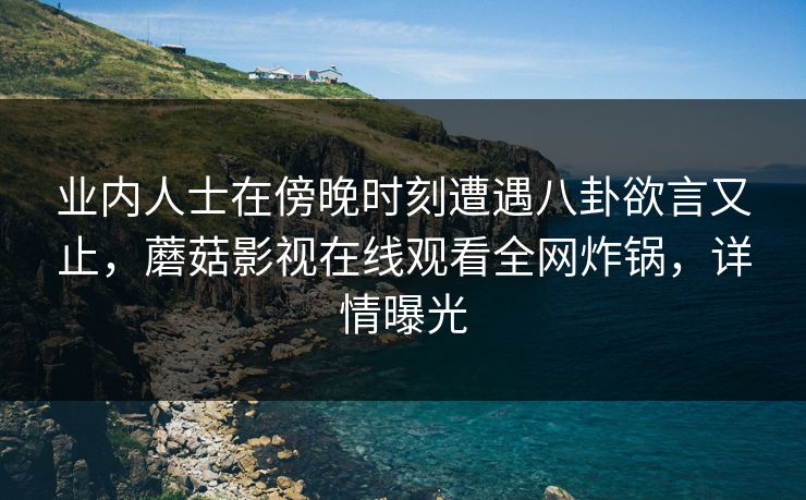 业内人士在傍晚时刻遭遇八卦欲言又止，蘑菇影视在线观看全网炸锅，详情曝光