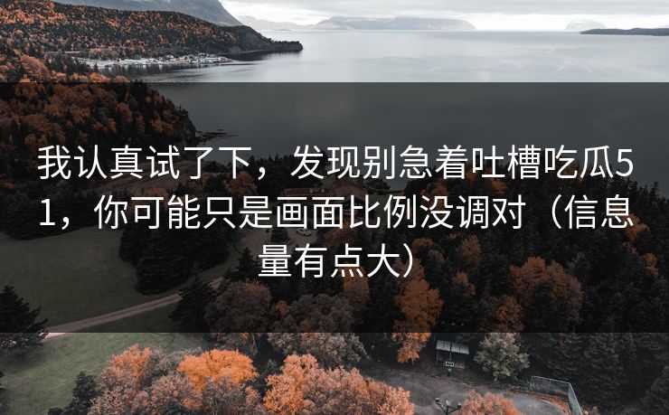 我认真试了下，发现别急着吐槽吃瓜51，你可能只是画面比例没调对（信息量有点大）